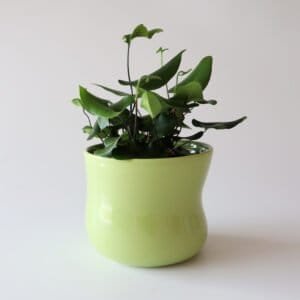 Kähler Mano bloempot limegroen