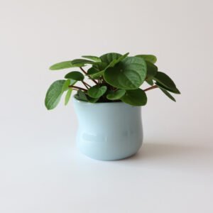 Kähler Mano bloempot lichtblauw